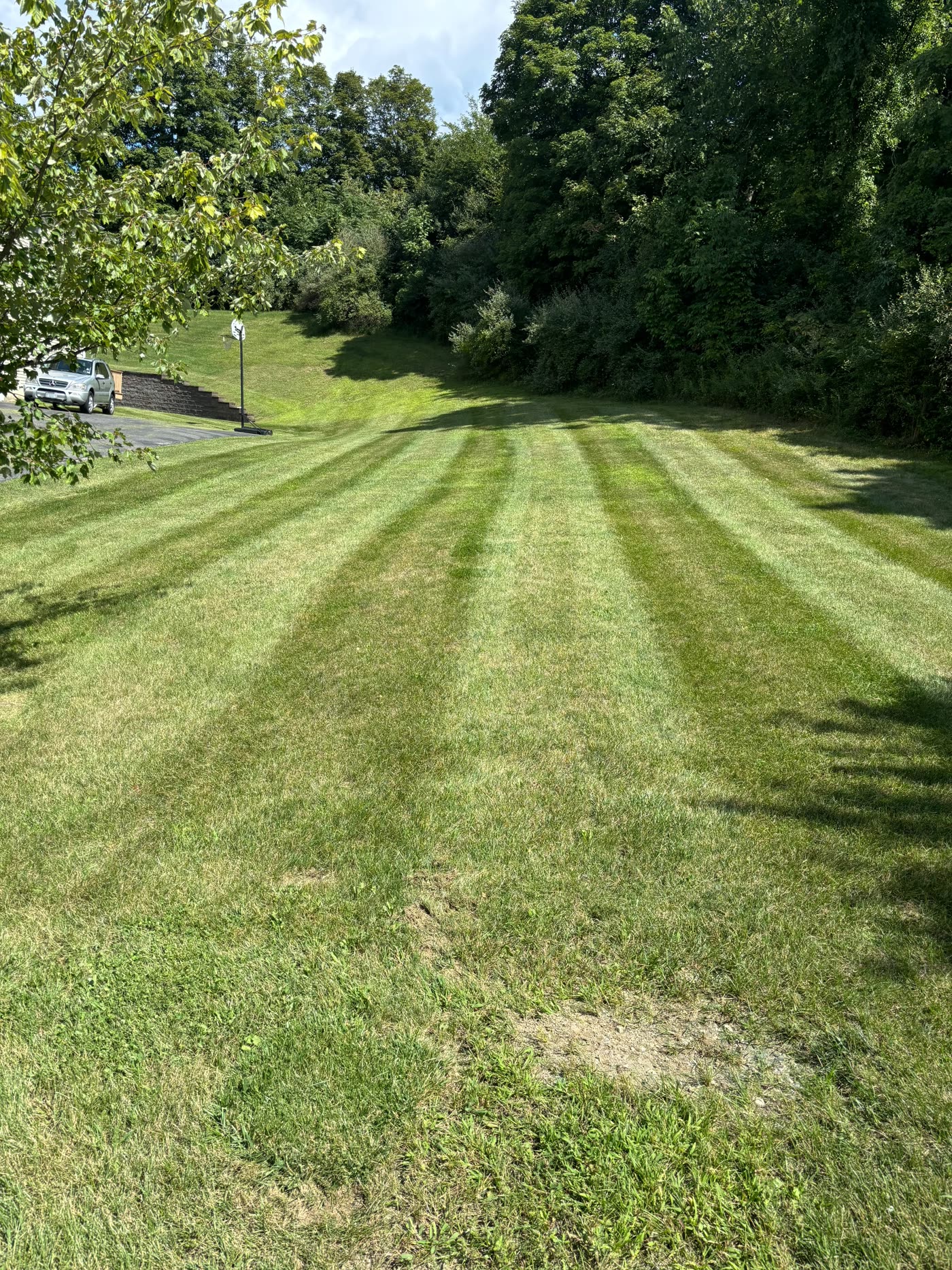 Landscaping Fishkill NY